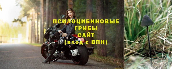PSILOCYBIN Абинск