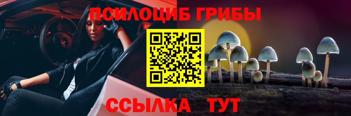 Галлюциногенные грибы Psilocybe  как найти   Галлюциногенные грибы Psilocybine cubensis  Людиново  Вход с VPN 
